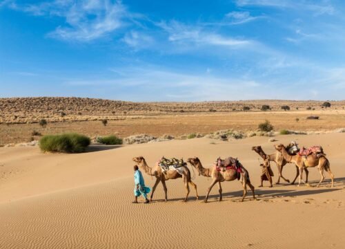 Festivals of Rajasthan 2025